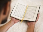 أحكام المد
